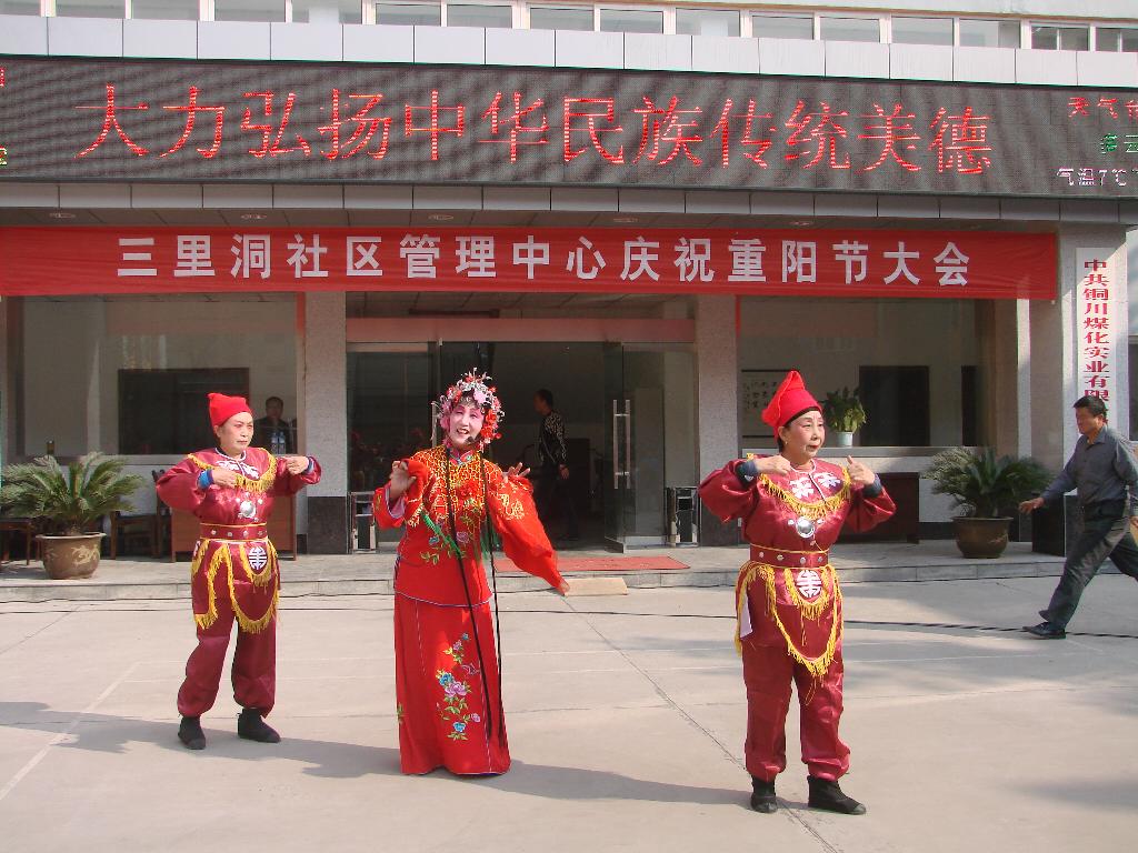 豫劇表演《抬花轎》